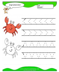 Çizgi Çalışma Sayfaları